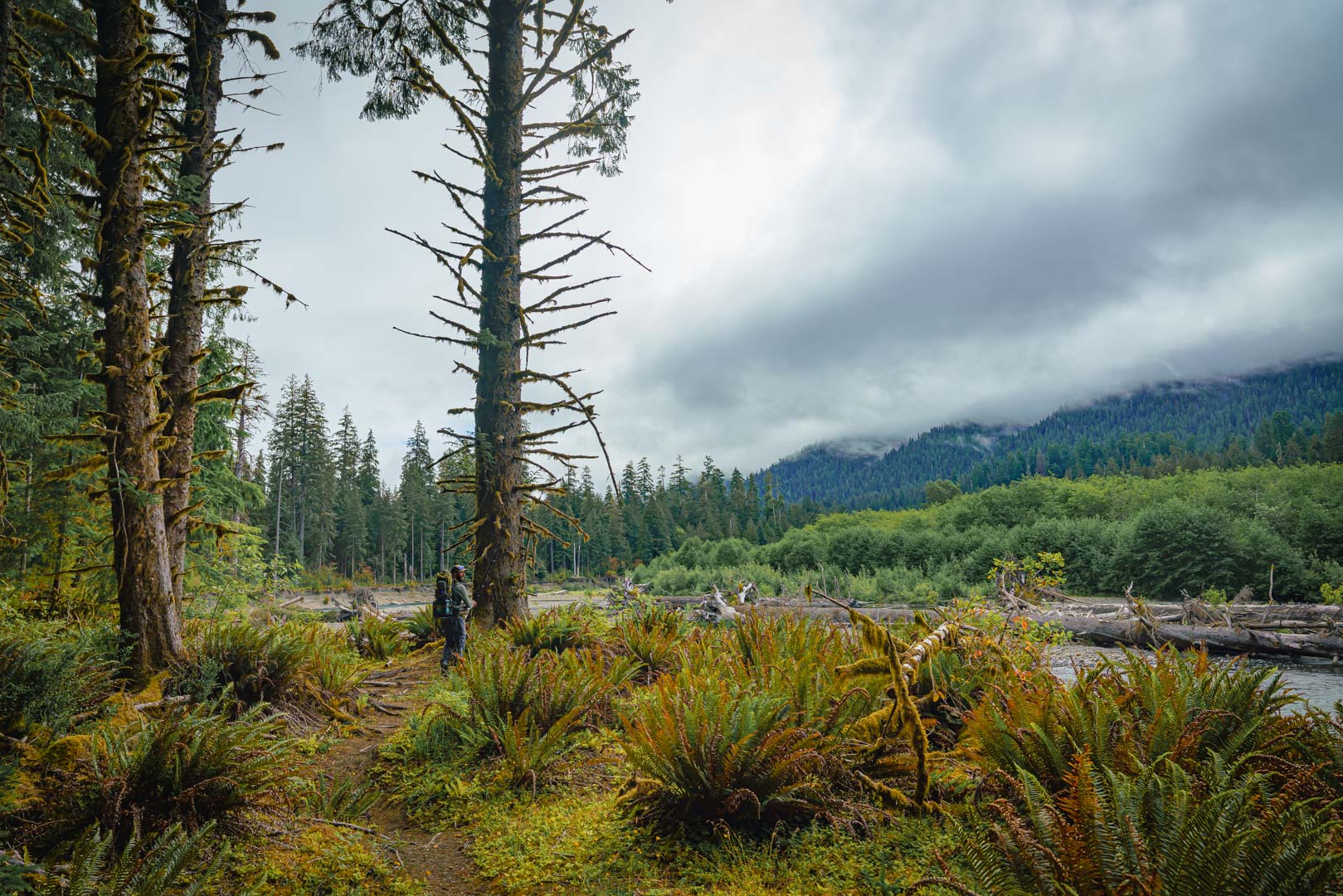 WILDERNESS HIKES